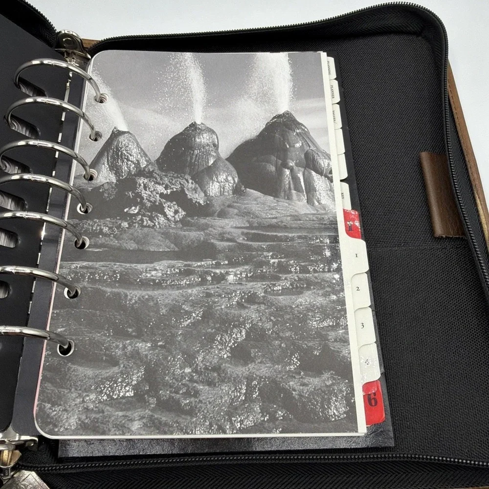 Vtg. Franklin Quest ~Blk. Canvas/Brown Leather Trim ~Green Line Planner Zip